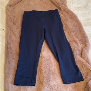 Navy lulu crops